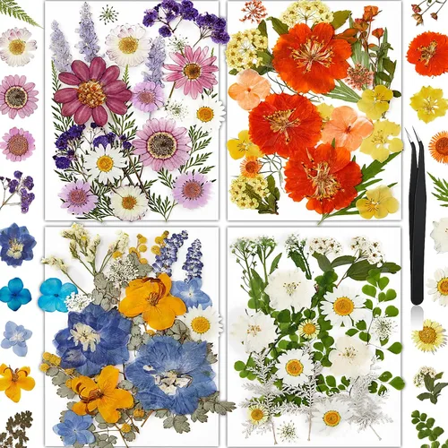 Vista 13 de 100 piezas de flores prensadas secas de hortensias para manualidades de Hortensia 100pcs