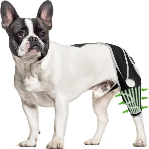 Vista 8 de Rodillera para perros pequeños, estabilidad de rodilla y soporte activo, talla S Provides comfortable knee support for dogs with joint weakness