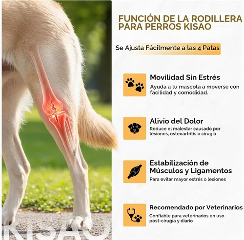 Vista 4 de KISAO Rodillera para perro para pierna trasera de ACL desgarrada, rodillera ajustable para aliviar el dolor de artritis para perros, compresión
