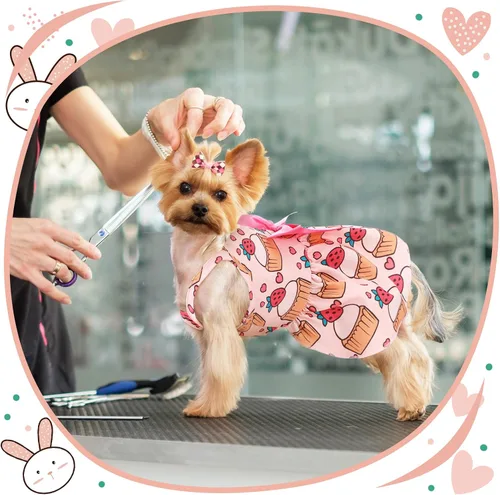 Vista 5 de Frienda 6 piezas con lazo de príncipes para cachorro, vestido floral para perro, falda, vestido de verano para mascotas, lindo vestido de verano