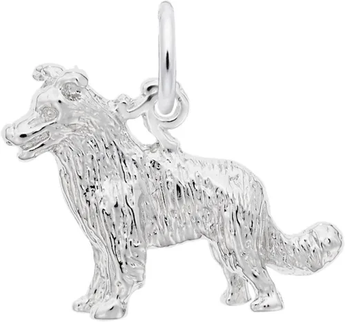 Vista 2 de Rembrandt Border Collie Perro Encanto