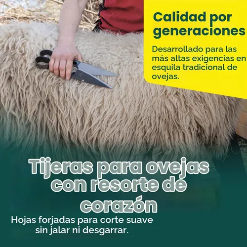 Vista 3 de BERGER Topiary & Sheep Shears 2722 - Cuchillas autoafilables de grado comercial, resorte de corazón, diseño ambidiestro, 6.1 pulgadas, borde