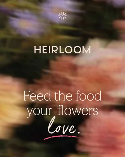 Vista 8 de Fundición de gusano de 1.5 cuartos de galón de Heirloom Roses - Fundición de gusano para jardinería
