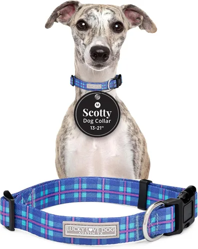 Vista 35 de Lucky Love Dog - Collar de perro ajustable con hebilla de fácil clic para los pequeños, duradero y cómodo para perros machos y hembras, collar