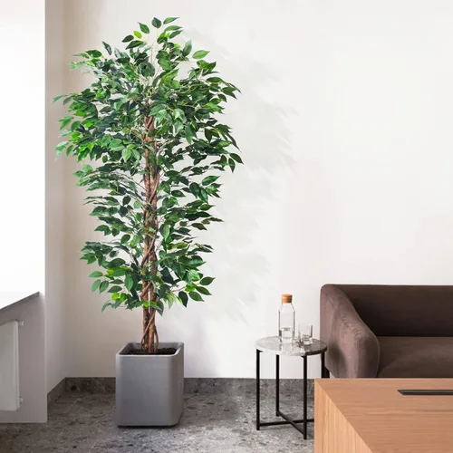 Vista 7 de HAIHONG Árbol de Ficus Artificial de 5 Pies, Plantas de Seda Artificial con Maceta de Vivero de Plástico Resistente, Árboles de Ficus Artificiales
