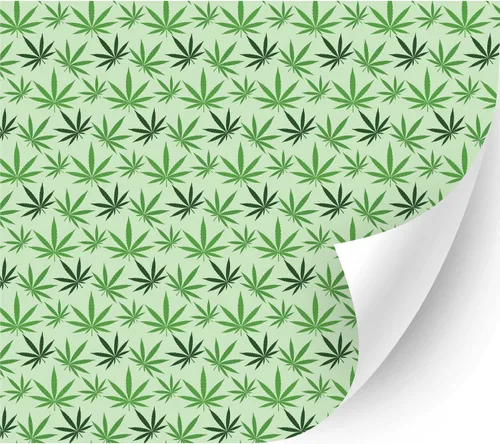 Vista 10 de 4/20Cannabis Orajet 3164 Vinilo adhesivo brillante (hojas coloridas de cannabis, 11 x 12 pulgadas) – Vidrio para automóvil, calcomanías