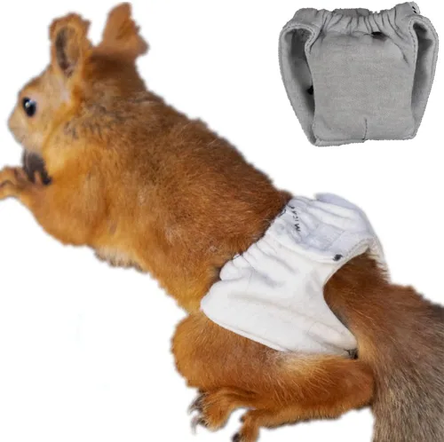 Vista 11 de Pañales reutilizables lavables de ardilla, altamente absorbentes, con pantalones fuertes y flexibles, sin fugas, pañales reutilizables para orina