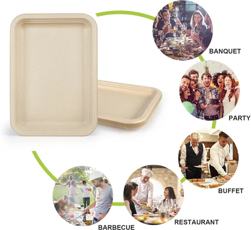 Vista 4 de Paquete de 10 platos de comida, platos de papel rectangulares, aptos para microondas, a prueba de remojos, resistentes a cortes, compostables