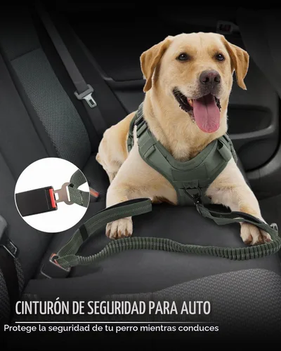 Vista 5 de Joytale Correa Táctica para Perro de Servicio Pesado, Correa Elástica Amortiguadora de 4-6 Pies con 2 Asas Acolchadas, Clip de Mosquetón de Metal