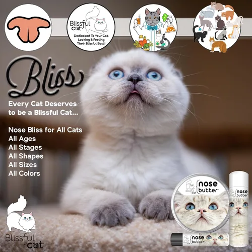 Vista 3 de The Blissful Cat - Mantequilla para la nariz, 0.15 onzas