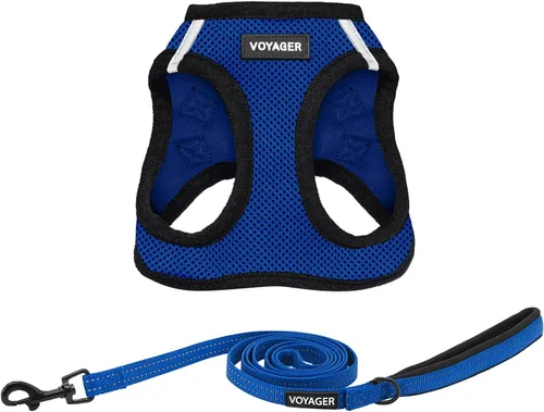 Vista 24 de Arnés de malla Voyager Step-in Air para todo clima y correa reflectante para perro de 5 pies, combo con mango de neopreno, para cachorros de razas