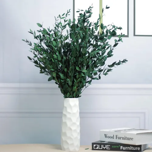 Vista 8 de Más de 20 ramas pequeñas conservadas de eucalipto seco tallos, 7-14 piezas de 17 pulgadas y 4 onzas de eucalipto real natural para ducha, plantas