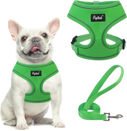 Vista 72 de PUPTECK Juego de arnés y correa de malla suave para perro, cachorro y gato, cómodo chaleco acolchado sin tirones, azul Pascua, S