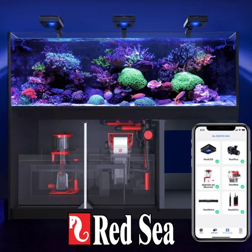 Vista 6 de Red Sea Reef Foundation C Suplemento de magnesio (Mg), 5 litros, mantiene el equilibrio de magnesio para corales saludables en acuarios marinos