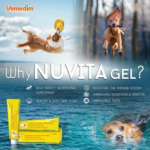 Vista 6 de Gel nutricional y vitamínico prémium para perros y gatos, mejora la salud, aumenta el apetito y energiza. Adecuado para todas las razas y etapas