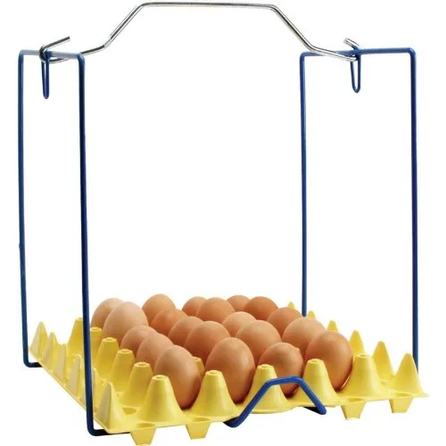 Vista 2 de Bandeja de huevos recubierta de plástico