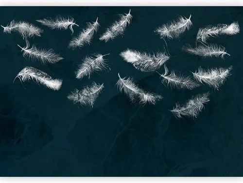 Vista 13 de artgeist Mural de pared de plumas de 98 x 69 pulgadas, tamaño XXL, no tejido, de forro polar, para decoración de pared, impresión fotográfica, #10