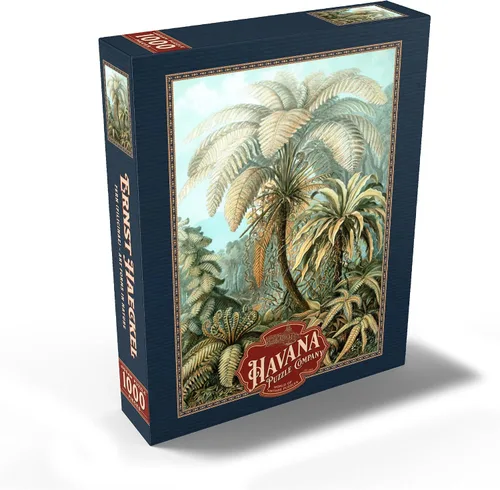 Vista 2 de MyPuzzle Fern (Filicinae) - Formas de arte en la naturaleza, póster de arte vintage, Ernst Haeckel - Rompecabezas prémium de 1000 piezas para adultos