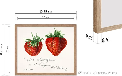 Vista 3 de Poster Master Póster vintage de fresas, impresión retro de fresas, arte de alimentos y frutas, regalo para veganos, vegetarianos, amantes