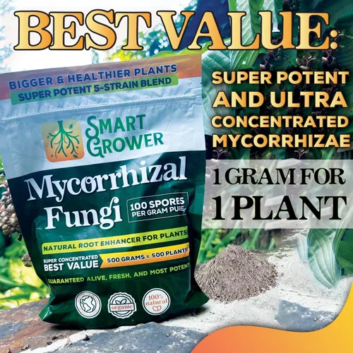 Vista 6 de Potenciador de raíces de hongos micorrízicos orgánicos para plantas, súper potente 100 esporas por gramo, mezcla de 5 cepas, resultados rápidos