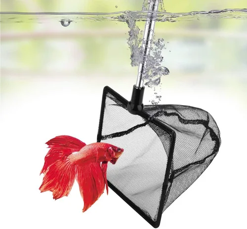 Vista 9 de DaToo Red de peces de acuario de 3 pulgadas para tanque de peces Betta Nano Nylon Net con mango extensible 6-16 pulgadas, 1 año de garantía