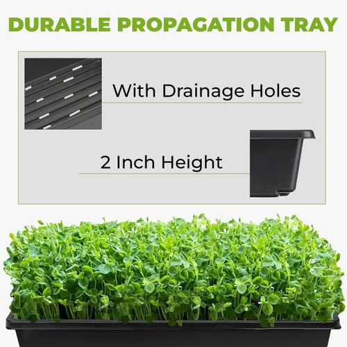 Vista 2 de DL Wholesale Bandejas 1020 con agujeros (paquete de 50) para bandejas de cultivo Microgreens, fabricadas en Estados Unidos, bandeja de propagación