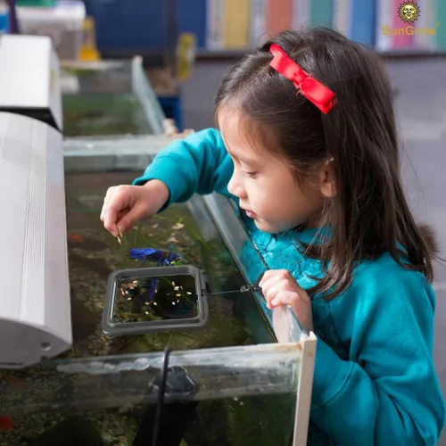 Vista 8 de SunGrow Anillo de alimentación de alimentos para peces, evita que las turbulencias del agua laven alimentos y plantas flotantes en el filtro