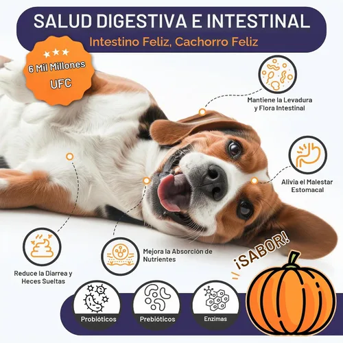 Vista 3 de NATURE TARGET Probióticos para perros, 6 mil millones de probióticos para perros con prebióticos y enzimas para la salud digestiva e intestinal