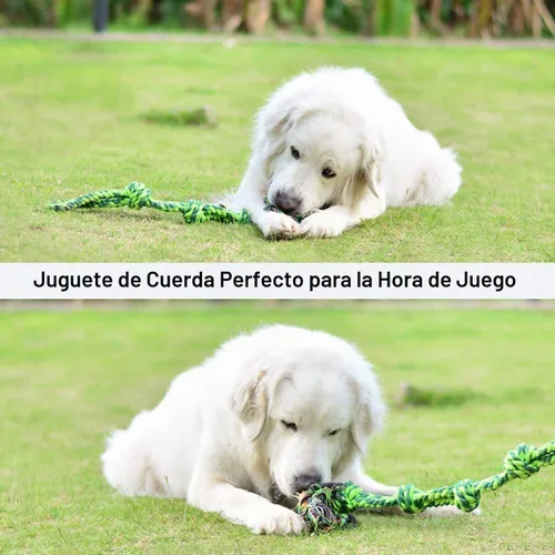 Vista 4 de SHARLOVY - Juguetes para perros grandes y masticadores agresivos Indestructible XL Durable Dog Toy,5-Knot Rope Tug,Heavy Duty Chew Sturdy Cotton