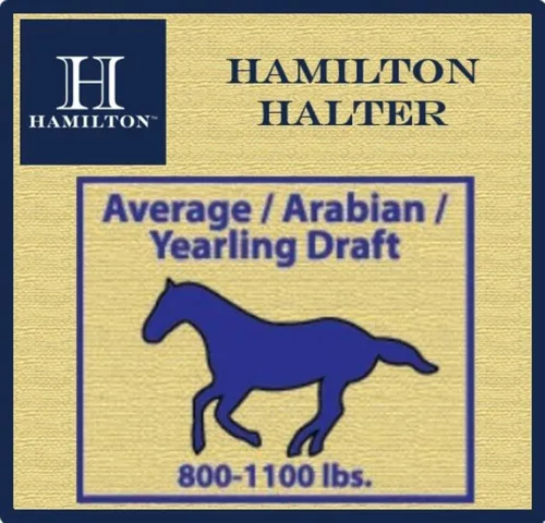 Vista 3 de Hamilton, Halter de 1 pulgada con barbilla ajustable, azul baya, 800-1100 libras