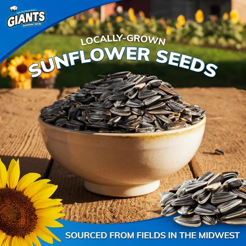 Vista 3 de GIANTS KC Style BBQ Semillas de Girasol - Semillas de girasol a granel, semillas de girasol tostadas para comer, sabor a barbacoa, aperitivo