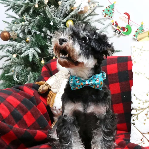 Vista 3 de ARING PET Collar de invierno para perro de Navidad, collar de algodón para perro con lazo, ajustable azul árbol de Navidad, collar para mascotas