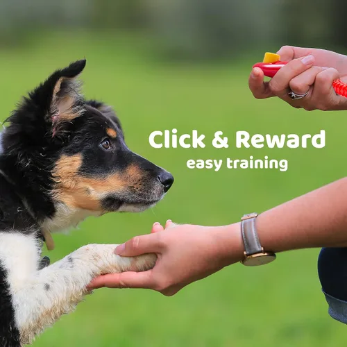 Vista 5 de Downtown Pet Supply Paquete de 2 - Clickers de entrenamiento
