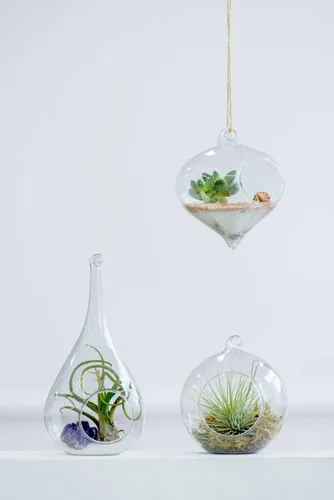 Vista 5 de Mkono Paquete de 5 macetas de vidrio colgantes para plantas de aire, decoración de terrario para suculentas, Tillandsia, portavelas