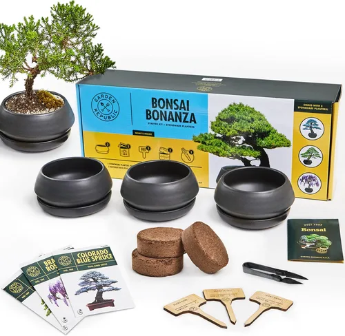 Vista 10 de Kit de principiantes de semillas de árbol Bonsai, Mini juego de cultivo de plantas Bonsai, 4 tipos de semillas, macetas, tijeras de podar