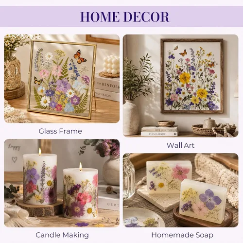 Vista 7 de 320 piezas de flores secas prensadas para manualidades de resina Multicolor 320 piezas