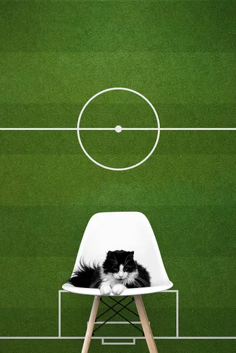 Vista 8 de Papel tapiz para campo de fútbol. Papel tapiz para cancha de fútbol. Papel tapiz para estadio de fútbol. #6465