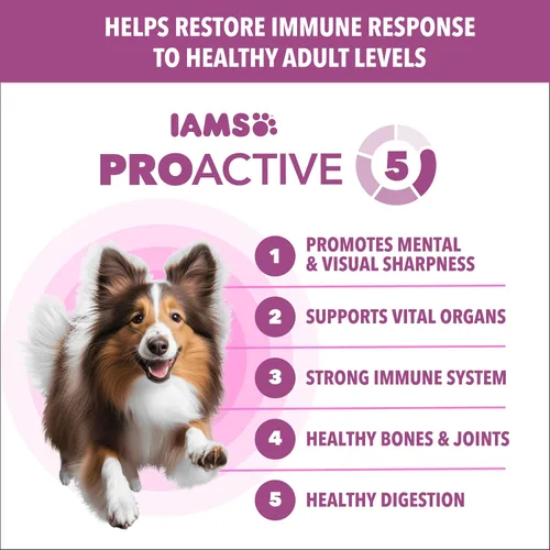 Vista 2 de IAMS Proactive Health Healthy Aging - Comida seca para perros con pollo y granos integrales, bolsa de 5 libras
