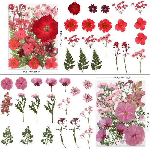 Vista 2 de LUXEEASE 80P Flores secas prensadas multicolor vibrantes Flores Tonificadas Cálidas 80p