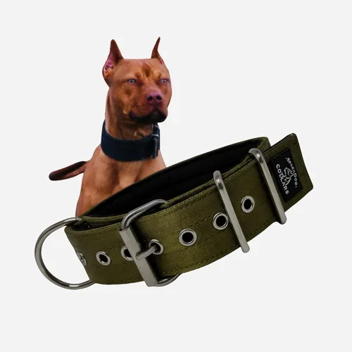 Vista 11 de SparkDog - Collar acolchado para perro, 2 pulgadas de ancho, nailon de 4 capas, correas para cinturón de seguridad, accesorios de acero inoxidable