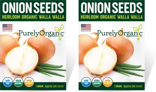 Vista 5 de Semillas de cebolla orgánicas (Walla Walla) – Aproximadamente 200 semillas – USDA Organic, sin OMG, polinizado abierto, reliquia, origen