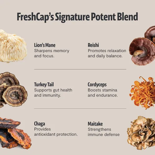 Vista 5 de Freshcap - Café de hongos premium, café instantáneo orgánico, 45 porciones