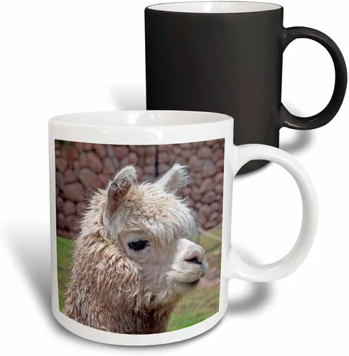 Vista 7 de 3dRose Taza de café, tamaño - 11oz - Perú. Alpaca Wildlife, Awana Kancha, Valle de Urubamba - SA17 KWI0128 - Kymri Wilt Wildlife - divertido regalo