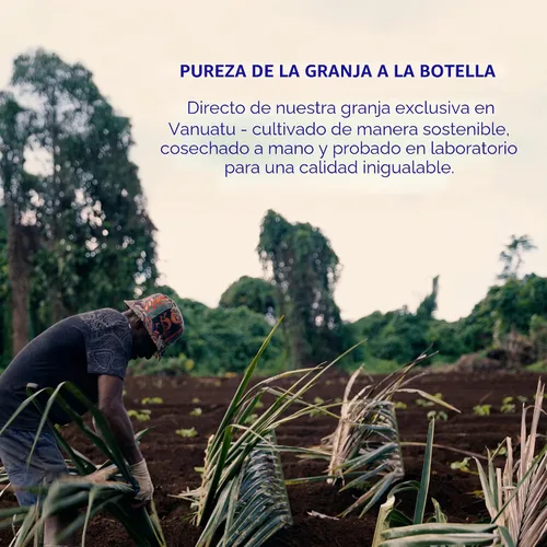 Vista 7 de Botanic Tonics feel free Kava Mate - Energía natural con raíz de kava y yerba mate - Mejora del estado de ánimo y energía sostenida - Sabor mejorado