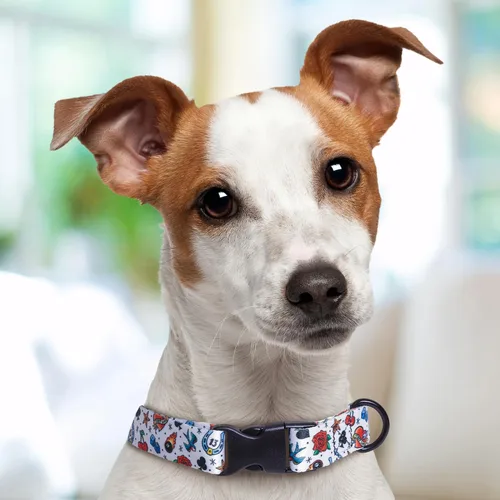 Vista 5 de Tattoo Dog Collar Personalized Custom (X-Small 5/8)