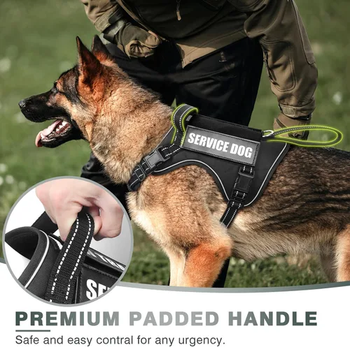 Vista 3 de WINSEE Arnés táctico para perro, arnés sin tirones para perros medianos y grandes con asa y Molle, arnés de servicio militar para perros pequeños