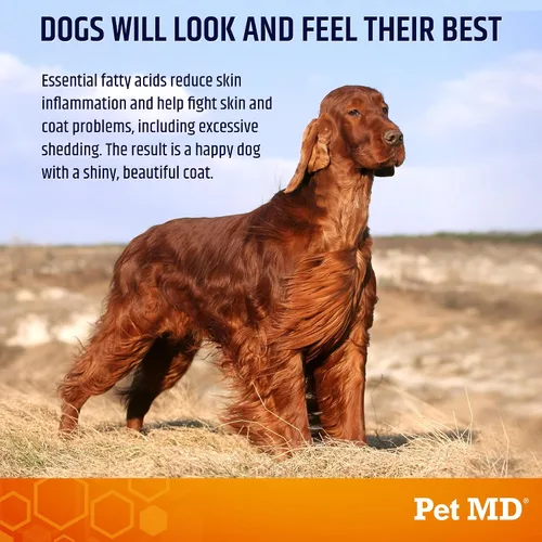 Vista 4 de Pet MD Salmon Omega Bites for Dogs - Suplemento para piel y pelaje con Omega 3 y 6 para perros más DHA y EPA - Promueve la alergia y el alivio
