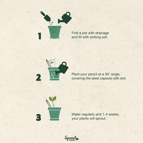 Vista 6 de Sprout Lápices de madera World Edición para profesores Lápices de madera plantables de grafito preafilados HB con semillas de flores, hierbas