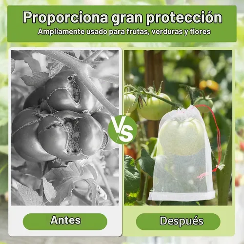 Vista 2 de Bolsas de cobertura de frutas contra pájaros, 25 bolsas de malla de protección de frutas de 4 x 6 pulgadas con cuerda, red para árboles frutales