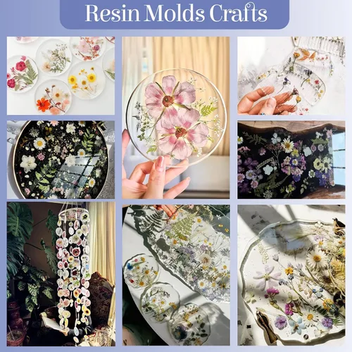 Vista 4 de 150 piezas de flores prensadas para manualidades, flores secas coloridas para manualidades, flores secas prensadas naturales reales, hojas secas a